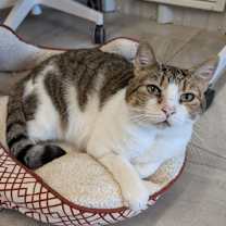 Thumbnail photo of O'Malley #3