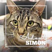 Thumbnail photo of Simon #1