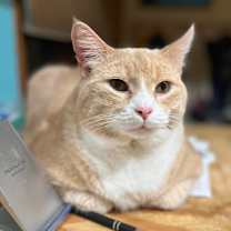 Thumbnail photo of Darwin #1