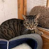 Thumbnail photo of Simon #4