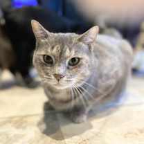 Thumbnail photo of Ashley #2