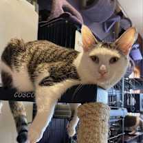 Thumbnail photo of El Yucatan #1