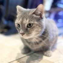 Thumbnail photo of Ashley #3