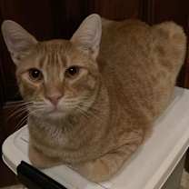 Thumbnail photo of Jack #1