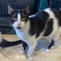 Thumbnail photo of Sally #1
