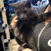 Thumbnail photo of Lulu #3