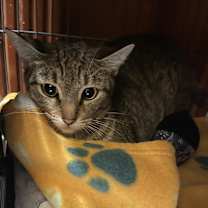 Thumbnail photo of Isla #2