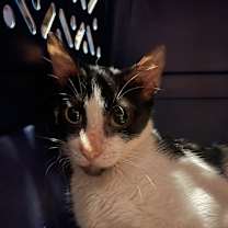 Thumbnail photo of Sally #2