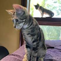 Thumbnail photo of Beatrice #3