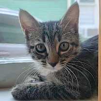 Thumbnail photo of Ellie #3