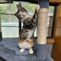 Thumbnail photo of Mona #1