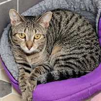Thumbnail photo of Estelle #1