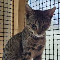 Thumbnail photo of Estelle #2