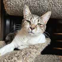 Thumbnail photo of Meadow #1