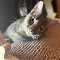 Thumbnail photo of Darla #1