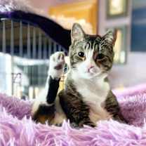 Thumbnail photo of Bruce #1