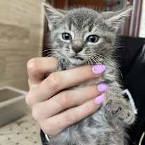 Thumbnail photo of Darla #2