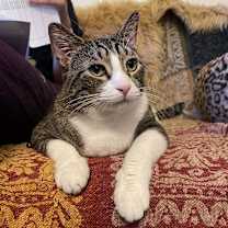 Thumbnail photo of Bruce #2