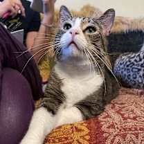 Thumbnail photo of Bruce #3
