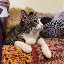 Thumbnail photo of Bruce #4