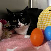 Thumbnail photo of Storm #2