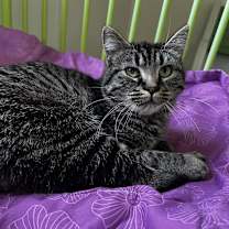 Thumbnail photo of Walter #2