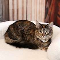 Thumbnail photo of Alva #1