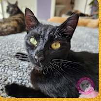Thumbnail photo of Joaquin #1