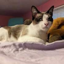 Thumbnail photo of Alex #1