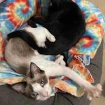 Thumbnail photo of Alex #3