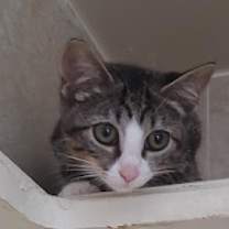 Thumbnail photo of Tessa #2