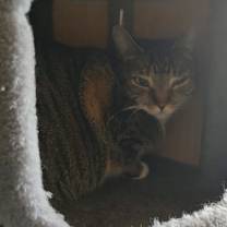 Thumbnail photo of CJ #2