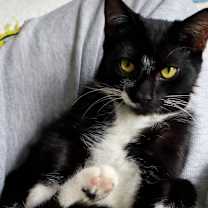 Thumbnail photo of Truffles #4