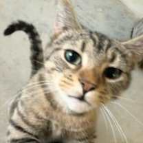 Thumbnail photo of Clover #2
