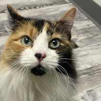 Thumbnail photo of Bubbles #2
