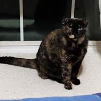 Thumbnail photo of Beautiful #1