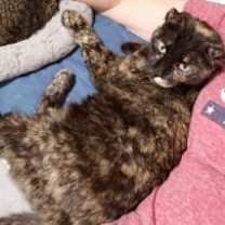 Thumbnail photo of Beautiful #2