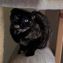 Thumbnail photo of Beautiful #3