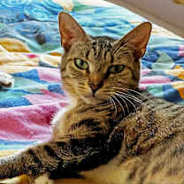 Thumbnail photo of Baby *Courtesy Post* #1