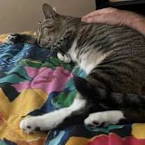 Thumbnail photo of Baby *Courtesy Post* #2