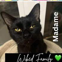 Thumbnail photo of Madame #3