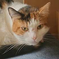 Thumbnail photo of Zoe #1