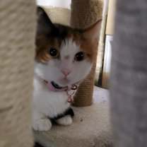 Thumbnail photo of Zoe #2