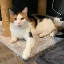 Thumbnail photo of Zoe #3