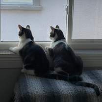 Thumbnail photo of Skylar #2