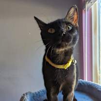 Thumbnail photo of Mary #3