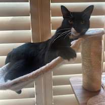 Thumbnail photo of Sally #3