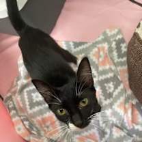 Thumbnail photo of Sally #4