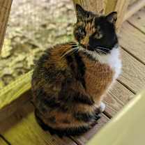 Thumbnail photo of Charlotte #2