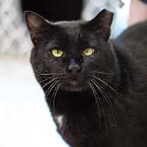 Thumbnail photo of Mr. Sid #1